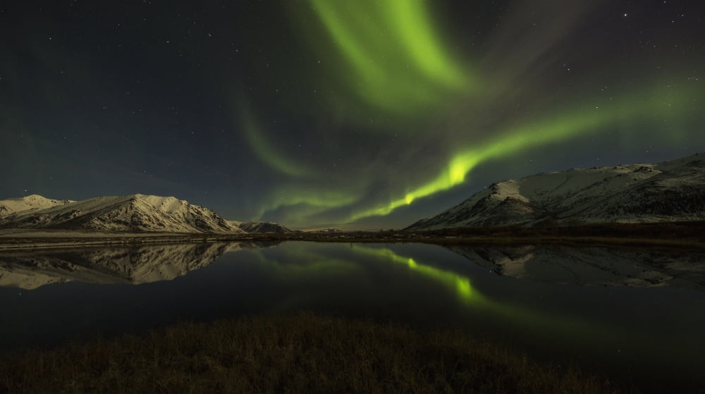 Northern Lights (aurora borealis) over the Dempster Highway and reflected into a pond Yukon Canada Canvas Art - Robert Postma Design Pics (20 x 11)