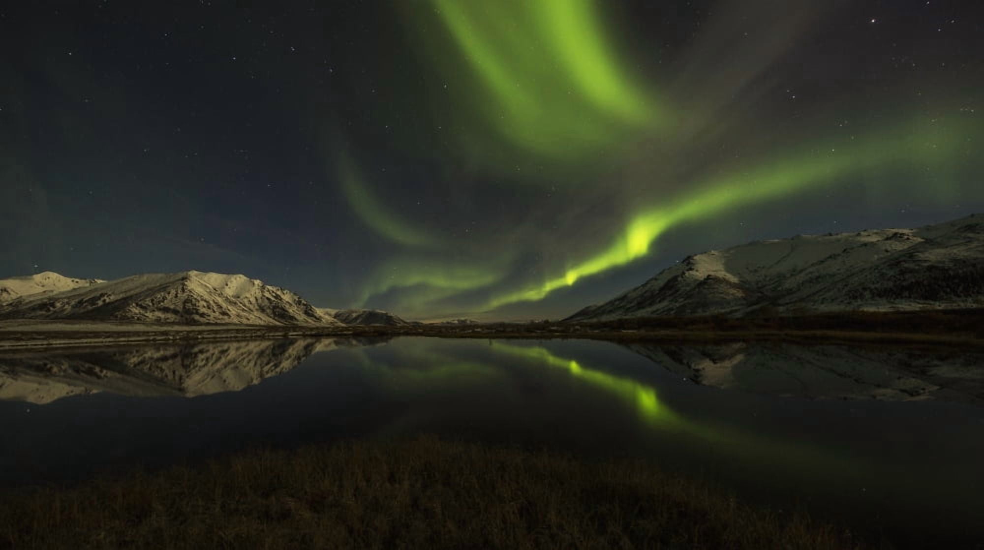 Northern Lights (aurora borealis) over the Dempster Highway and reflected into a pond Yukon Canada Canvas Art - Robert Postma Design Pics (40 x 22)