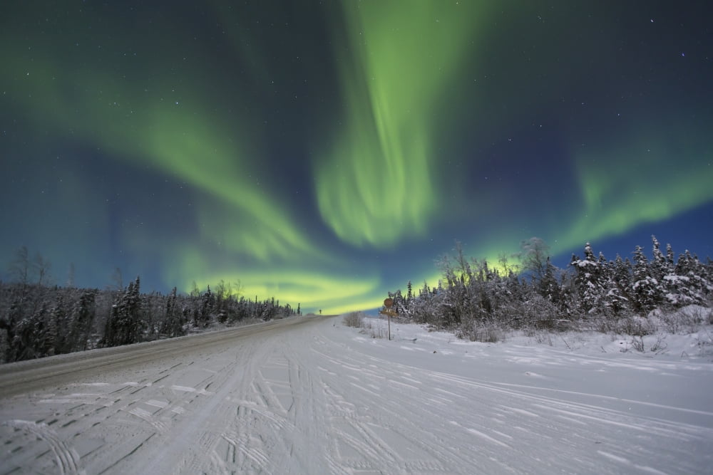 Northern Lights dancing over the James Dalton Highway north of Fairbanks Interior Alaska Winter Canvas Art - Lucas Payne Design Pics (36 x 24)