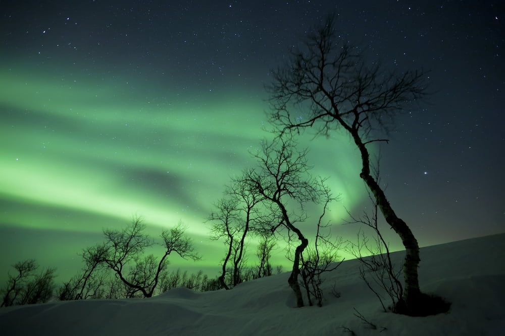 Northern Lights in the arctic wilderness Nordland Norway Canvas Art - Arild HeitmannStocktrek Images (17 x 12)