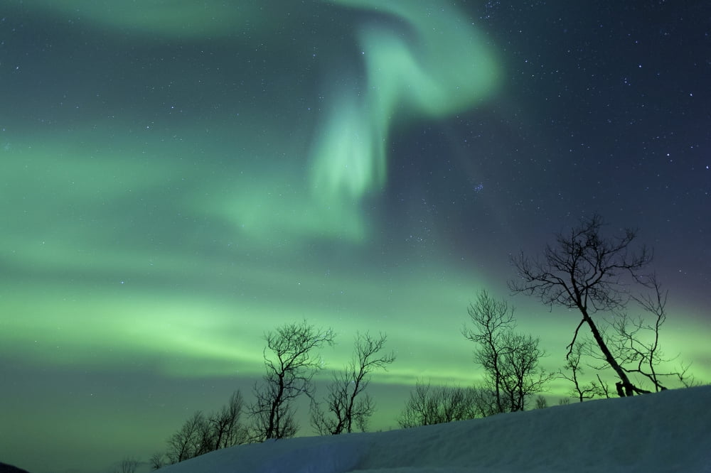 Northern Lights in the arctic wilderness Nordland Norway Canvas Art - Arild HeitmannStocktrek Images (18 x 12)