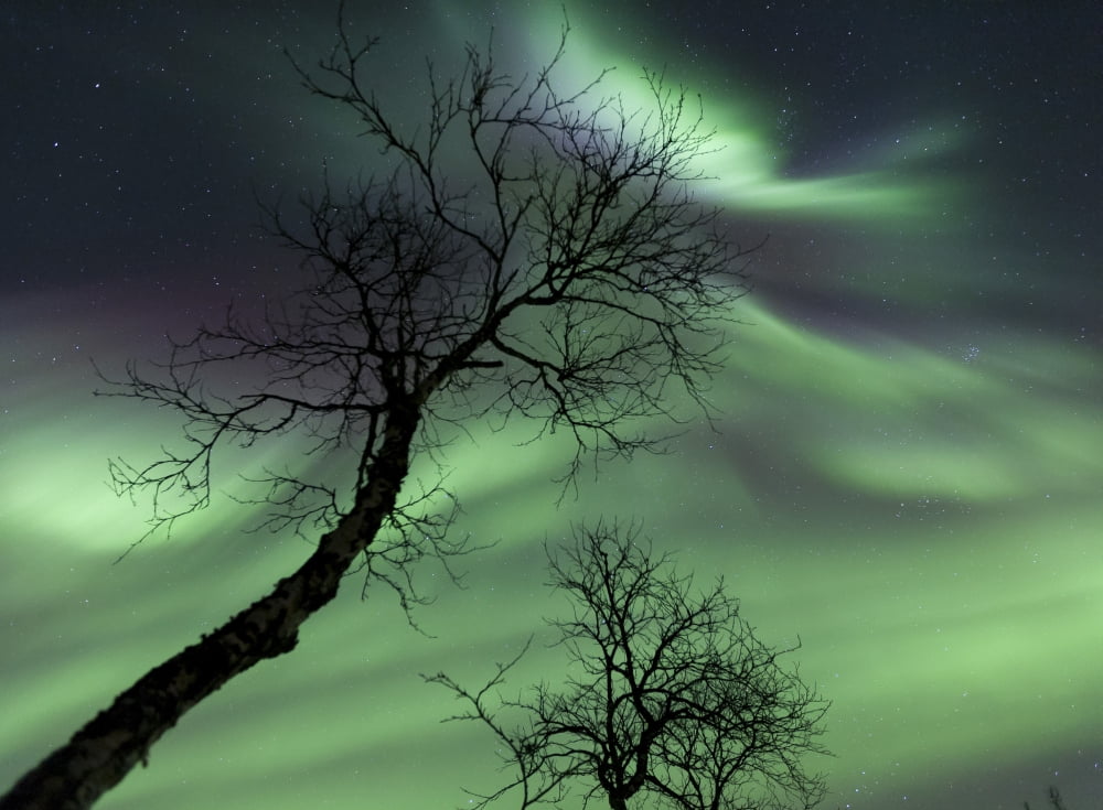 Northern Lights in the arctic wilderness Nordland Norway Canvas Art - Arild HeitmannStocktrek Images (32 x 24)