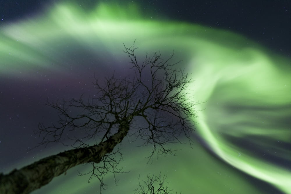 Northern Lights in the arctic wilderness Nordland Norway Canvas Art - Arild HeitmannStocktrek Images (34 x 23)