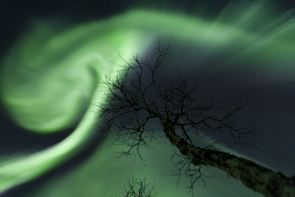 Northern Lights in the arctic wilderness Nordland Norway Canvas Art - Arild HeitmannStocktrek Images (34 x 23)