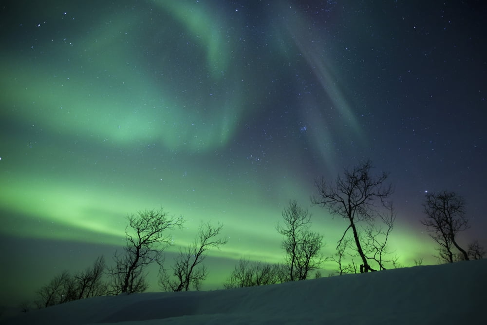 Northern Lights in the arctic wilderness Nordland Norway Canvas Art - Arild HeitmannStocktrek Images (35 x 24)