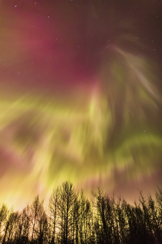Northern Lights in the sky above Cook Inlet Southcentral Alaska USA Canvas Art - Kevin Smith Design Pics (12 x 19)