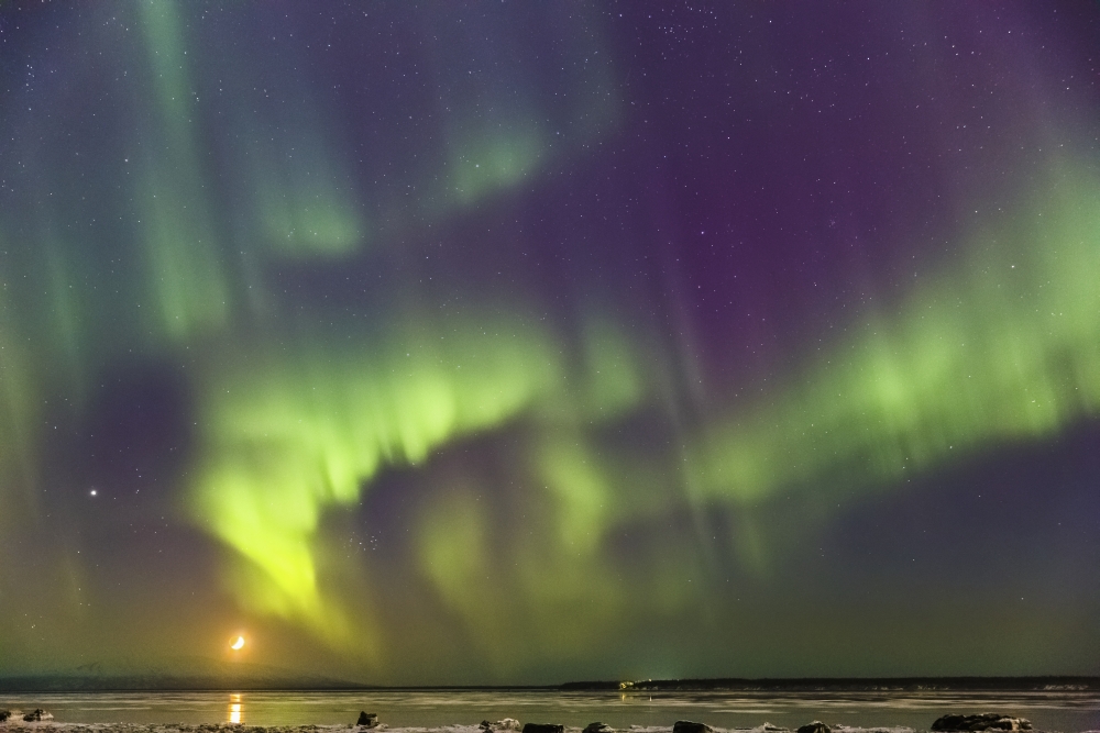 Northern Lights and moon in the sky above the snow covered mudflats of Knik Arm and Mt Susitna Winter Cook Inlet Southcentral Alaska USA Canvas Art - Kevin Smith Design Pics (19 x 12)