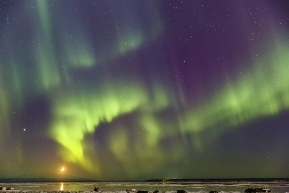 Northern Lights and moon in the sky above the snow covered mudflats of Knik Arm and Mt Susitna Winter Cook Inlet Southcentral Alaska USA Canvas Art - Kevin Smith Design Pics (38 x 24)