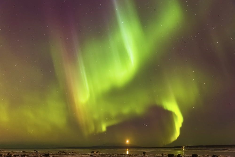 Northern Lights and moon in the sky above the snow covered mudflats of Knik Arm and Mt Susitna Winter Cook Inlet Southcentral Alaska USA Canvas Art - Kevin Smith Design Pics (38 x 24)