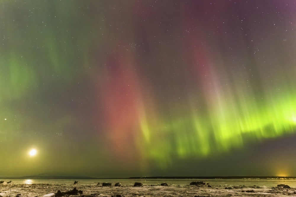 Northern Lights and moon in the sky above the snow covered mudflats of Knik Arm Winter Cook Inlet Southcentral Alaska USA Canvas Art - Kevin Smith Design Pics (38 x 24)