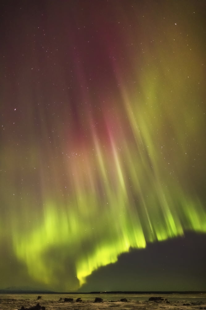 Northern Lights in the sky above the snow covered mudflats of Knik Arm Winter Cook Inlet Southcentral Alaska USA Canvas Art - Kevin Smith Design Pics (12 x 19)