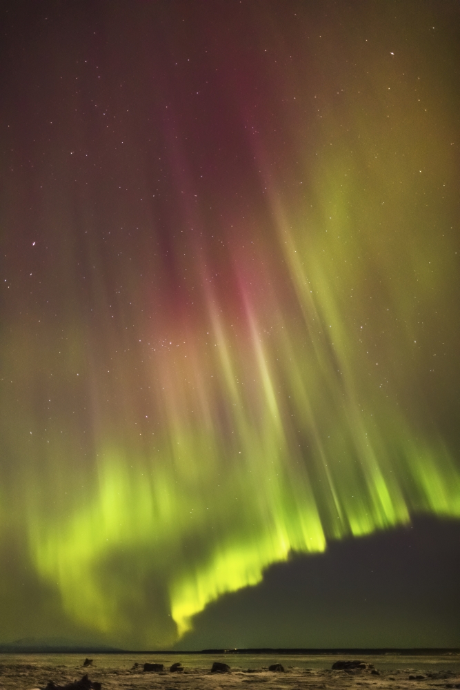 Northern Lights in the sky above the snow covered mudflats of Knik Arm Winter Cook Inlet Southcentral Alaska USA Canvas Art - Kevin Smith Design Pics (24 x 38)
