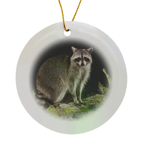 3drose, Northern Raccoon Wildlife, Hill Country, Texas - Na02 Rnu0212 - Rolf Nussbaumer, Circle Porcelain Ornament