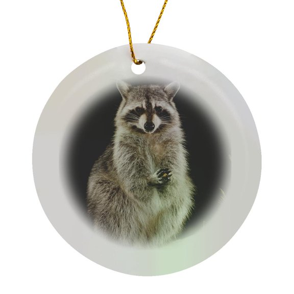 3drose, Northern Raccoon Wildlife, Hill Country, Texas - Na02 Rnu0710 - Rolf Nussbaumer, Circle Porcelain Ornament