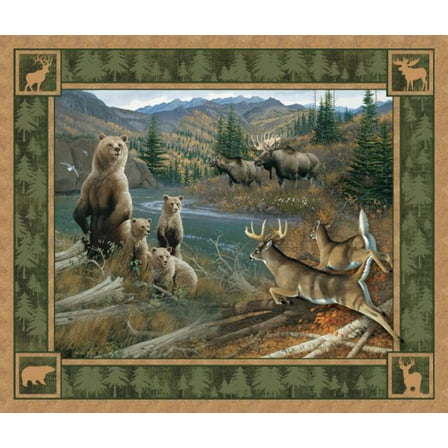 Northern Rim Panel Fabric