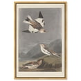 thumbnail image 1 of Northern Trio Canvas Print Botanical Art by Art Remedy, Gold Frame, 30 x 45, 1 of 6
