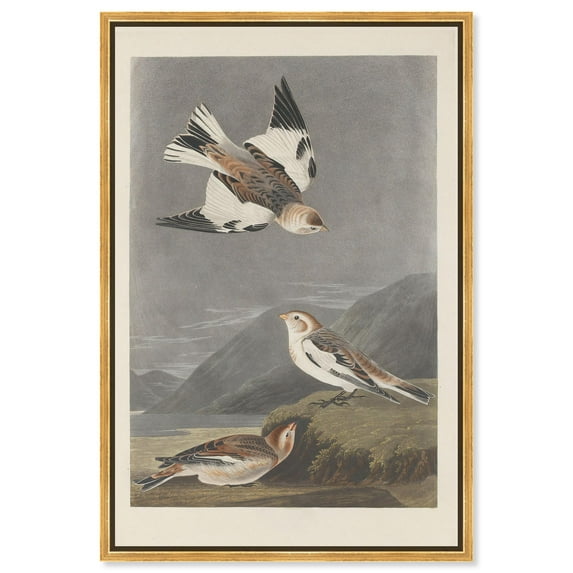 Northern Trio Canvas Print Botanical Art by Art Remedy, Gold Frame, 30 x 45