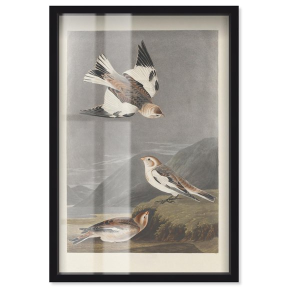 Northern Trio Shadowbox Print Botanical Art by Art Remedy, Black Frame, 30 x 45