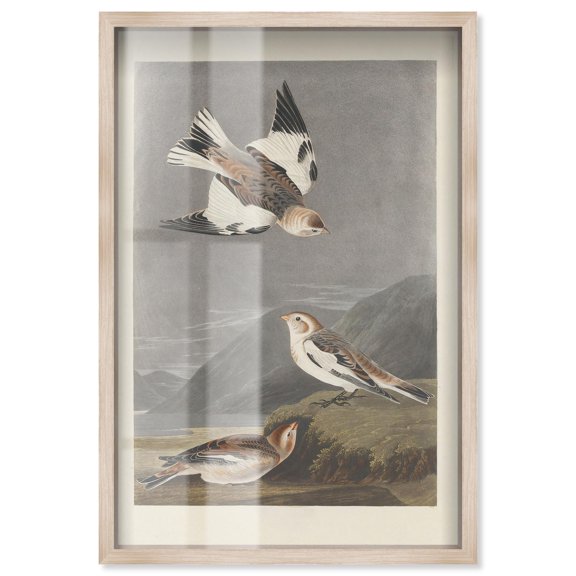 Northern Trio Shadowbox Print Botanical Art by Art Remedy, Blonde Frame, 10 x 15