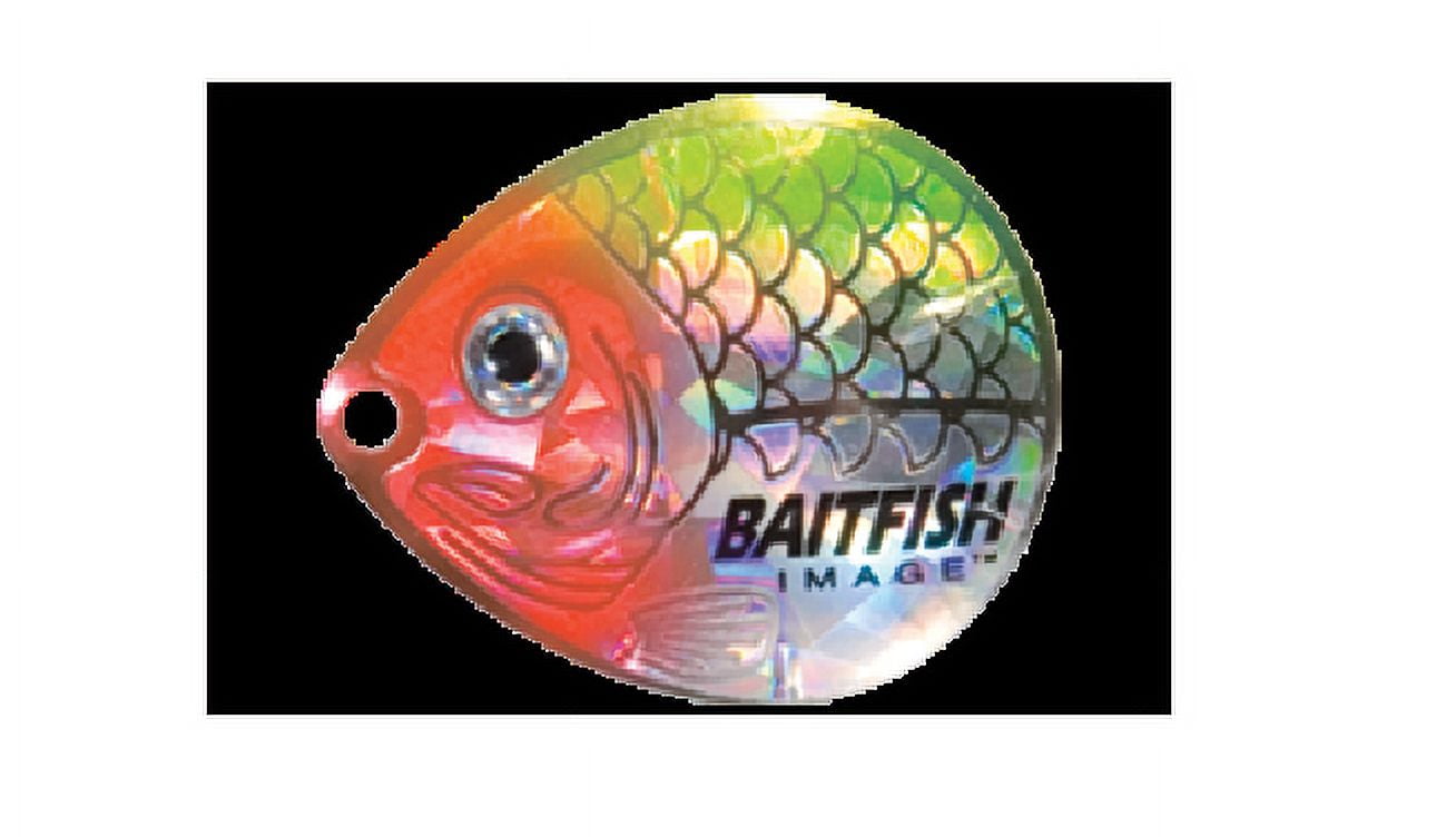 Northland Fishing Tackle Baitfish-Image Colorado Blade