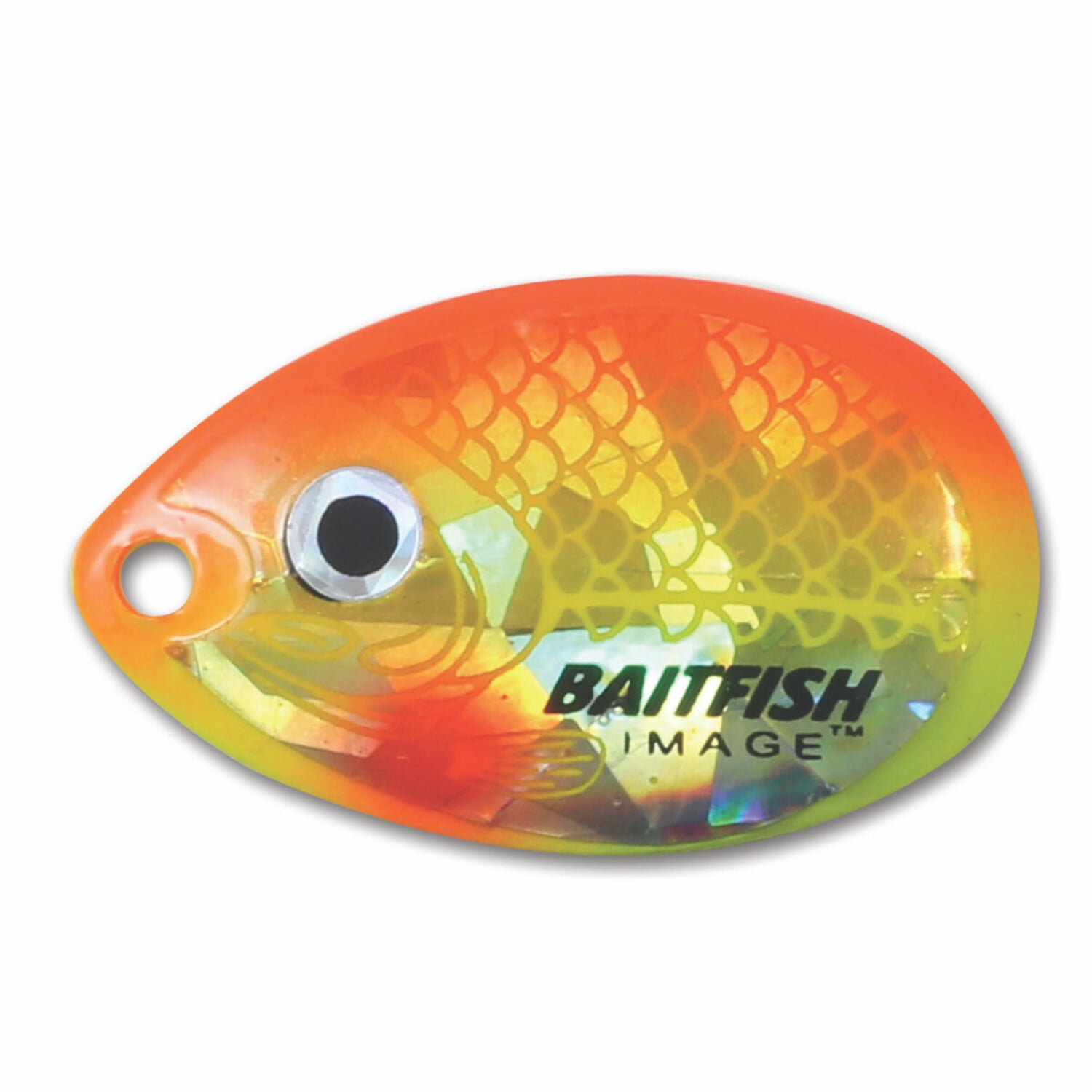 Northland Tackle Mimic Minnow Shad, Jig and Tail, Freshwater, Perch - Walmart.com