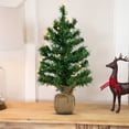 thumbnail image 1 of Northlight Pre-Lit Two-Tone Green Pine Artificial Christmas Tree in Burlap - 18" - Clear LED Lights, 1 of 5