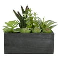 thumbnail image 1 of Northlight 10" Artificial Mixed Succulent Plants in a Rectangular Planter, 1 of 5