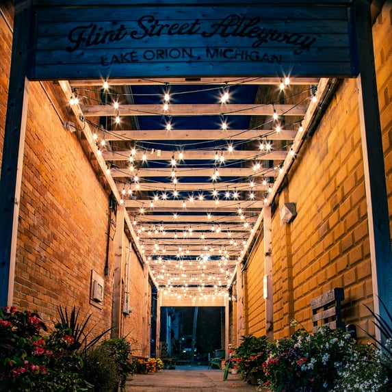 Northlight Edison Glass Indoor Outdoor Patio Light Set - Clear - 9' Green Wire - 10ct