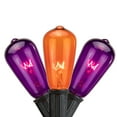 thumbnail image 1 of Northlight Edison E17 Halloween Light Set - Orange and Purple - 9' Black Wire - 10ct, 1 of 8