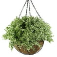 thumbnail image 1 of Northlight 10” Green Artificial Hanging Two-Tone Foliage Basket, 1 of 2