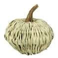 thumbnail image 1 of Northlight 10" White and Brown Autumn Harvest Woven Pumpkin Decoration, 1 of 4