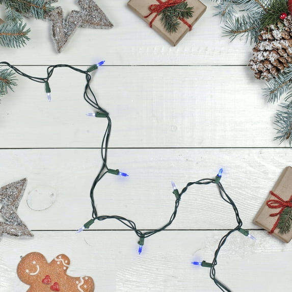 Northlight LED Mini Christmas Lights - Blue and Pure White - 33' Green Wire - 100ct