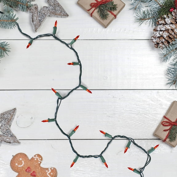 Northlight Mini Incandescent Christmas Lights - Orange - 20.25' Green Wire - 100ct