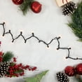 thumbnail image 1 of Northlight Mini Incandescent Christmas Lights - Clear - 20.25' Black Wire - 100ct, 1 of 4