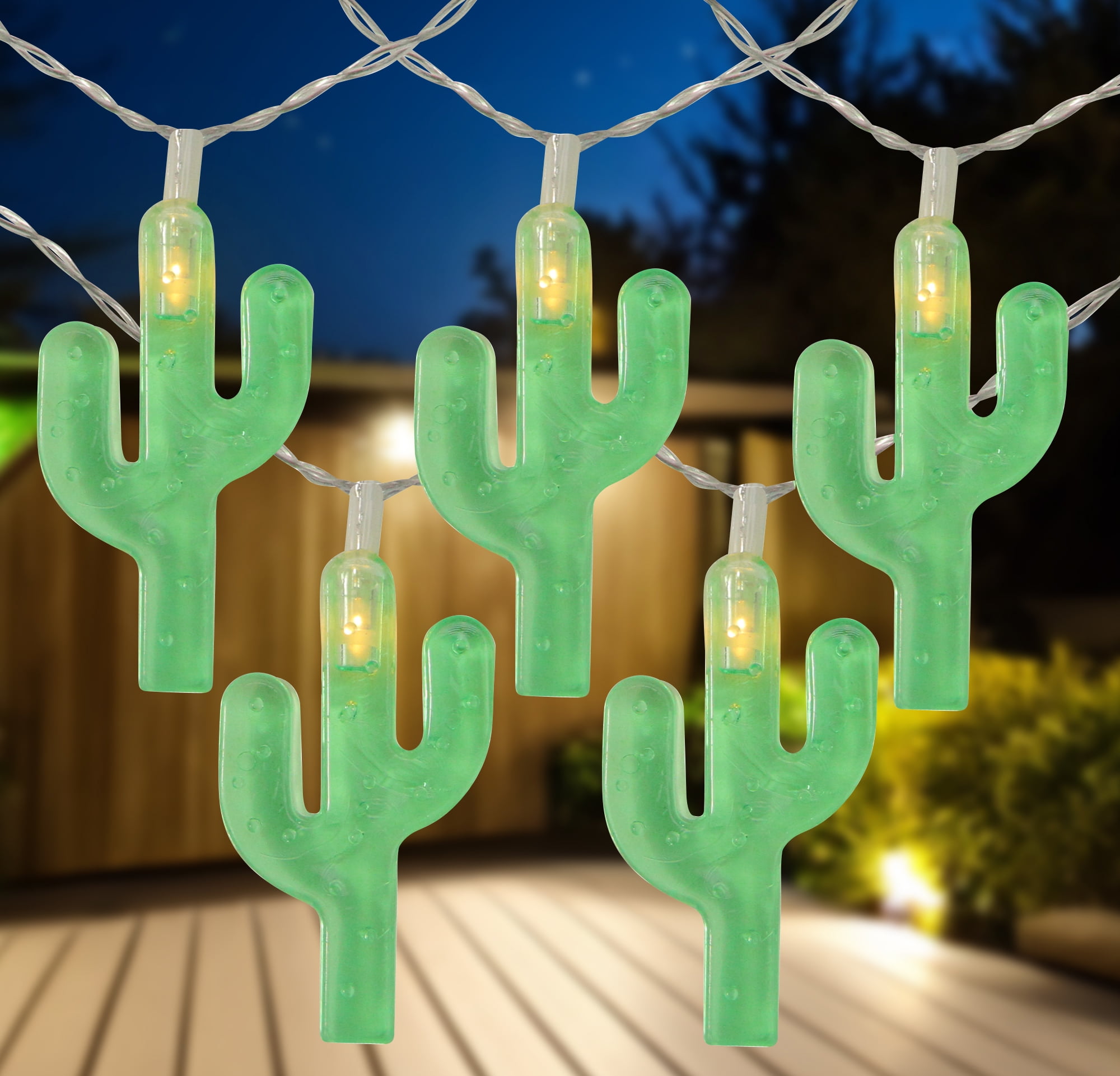 cactus nol Cactus de Nol  jungleroseinc