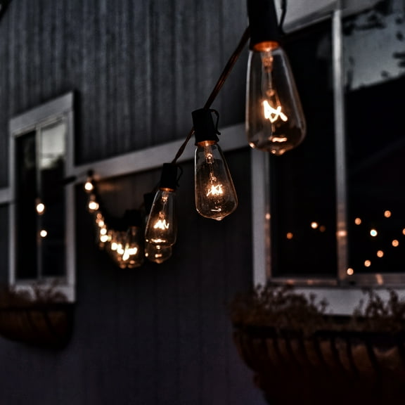 Northlight Transparent Edison Indoor Outdoor Patio Light Set - 9' Green Wire - 10ct