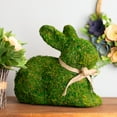 thumbnail image 1 of Northlight 11" Moss Sitting Bunny Rabbit Spring Easter Figure - Green/Tan, 1 of 7