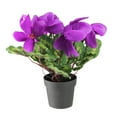thumbnail image 1 of Northlight 12" Purple Potted Artificial Cyclamen Floral Arrangement, 1 of 3