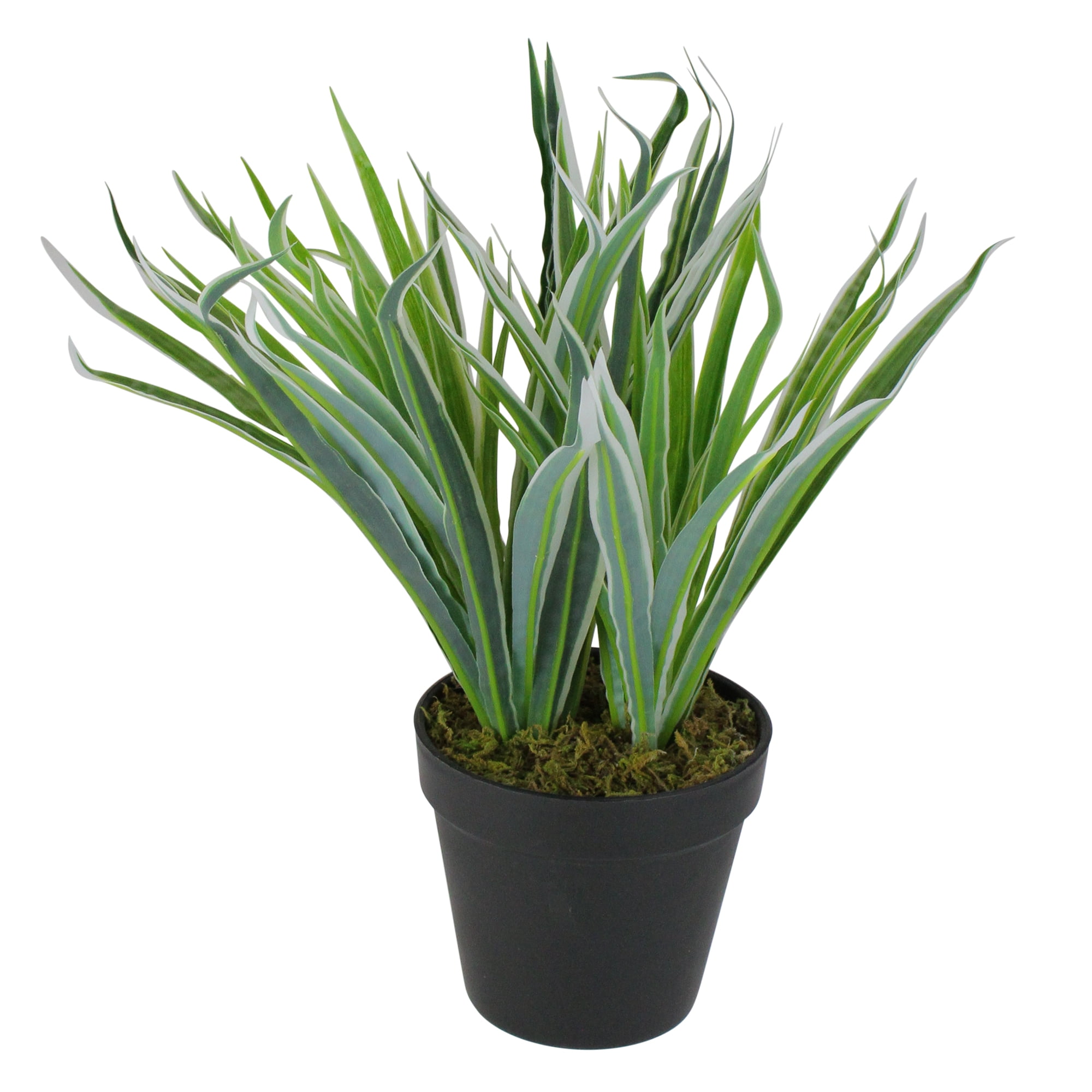 Petite Two-Tone Green and White Artificial Grass in Decorative Pot
