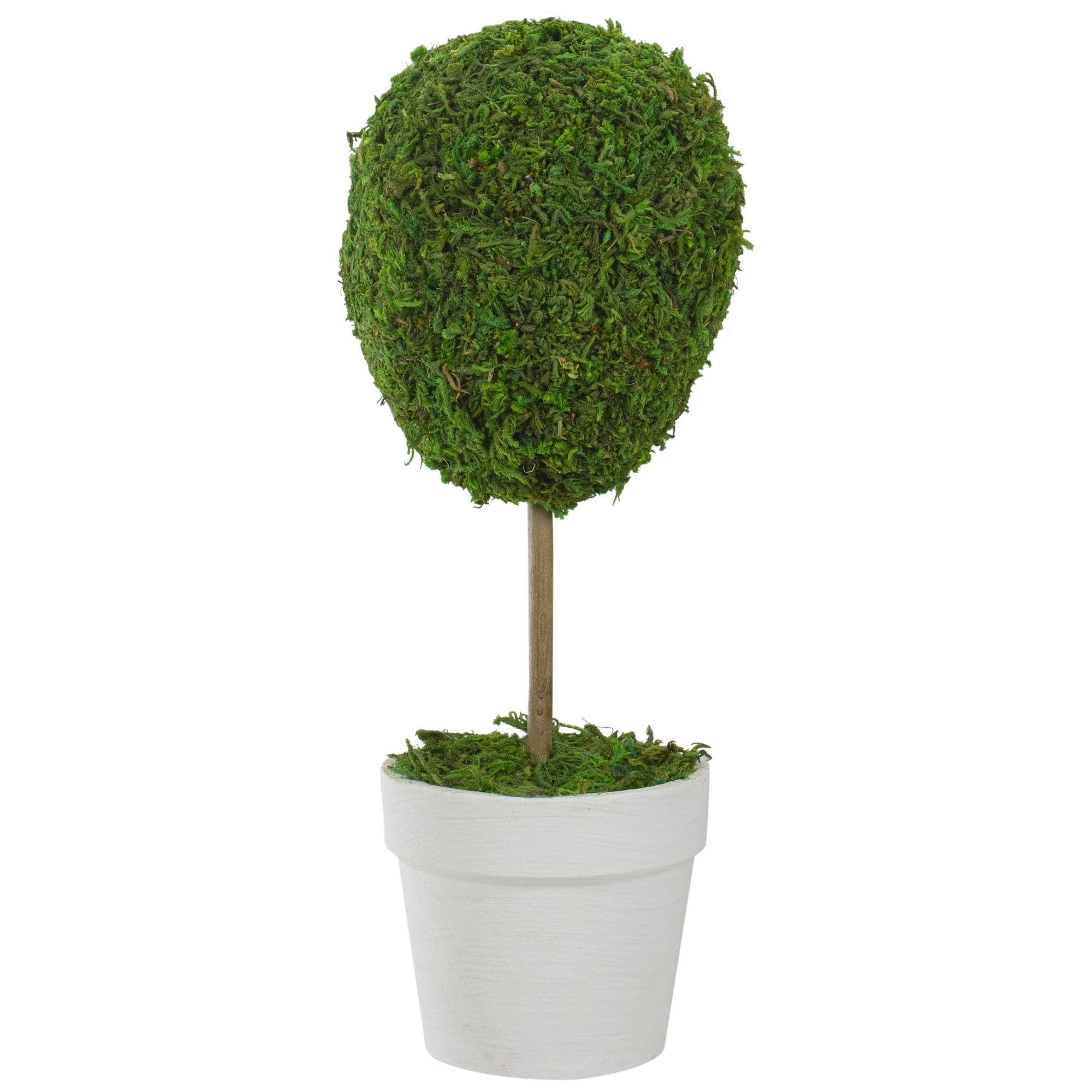 Elegant Outdoor Reindeer Moss Topiary in White Pot, 14" High