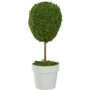 Northlight 14" Reindeer Moss Ball Potted Artificial Spring Topiary Tree - Green/White