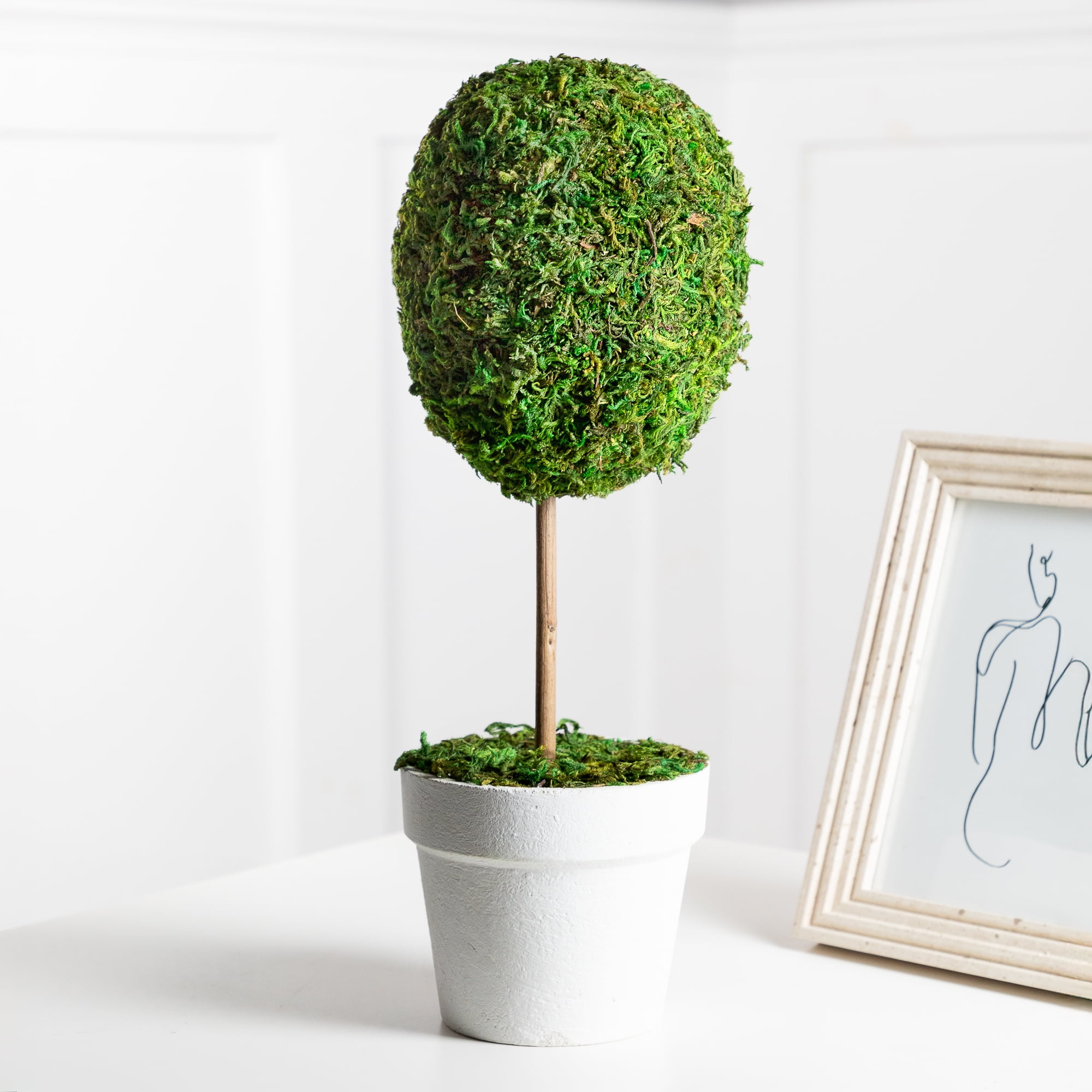 Elegant Outdoor Reindeer Moss Topiary in White Pot, 14" High
