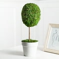 thumbnail image 1 of Northlight 14" Reindeer Moss Ball Potted Artificial Spring Topiary Tree - Green/White, 1 of 6
