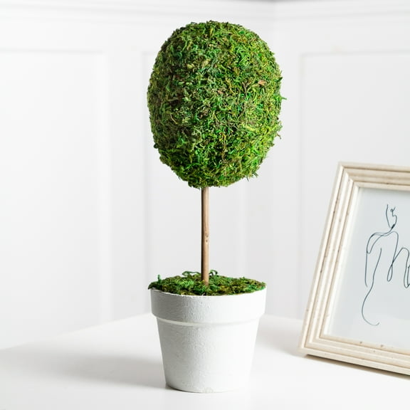 Northlight 14" Reindeer Moss Ball Potted Artificial Spring Topiary Tree - Green/White