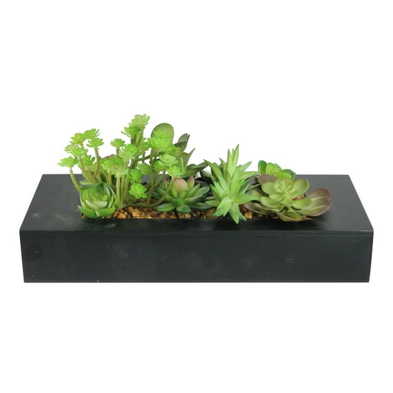 Northlight 14" Succulent Artificial Plant Arrangement in Garden Box - Green/Black