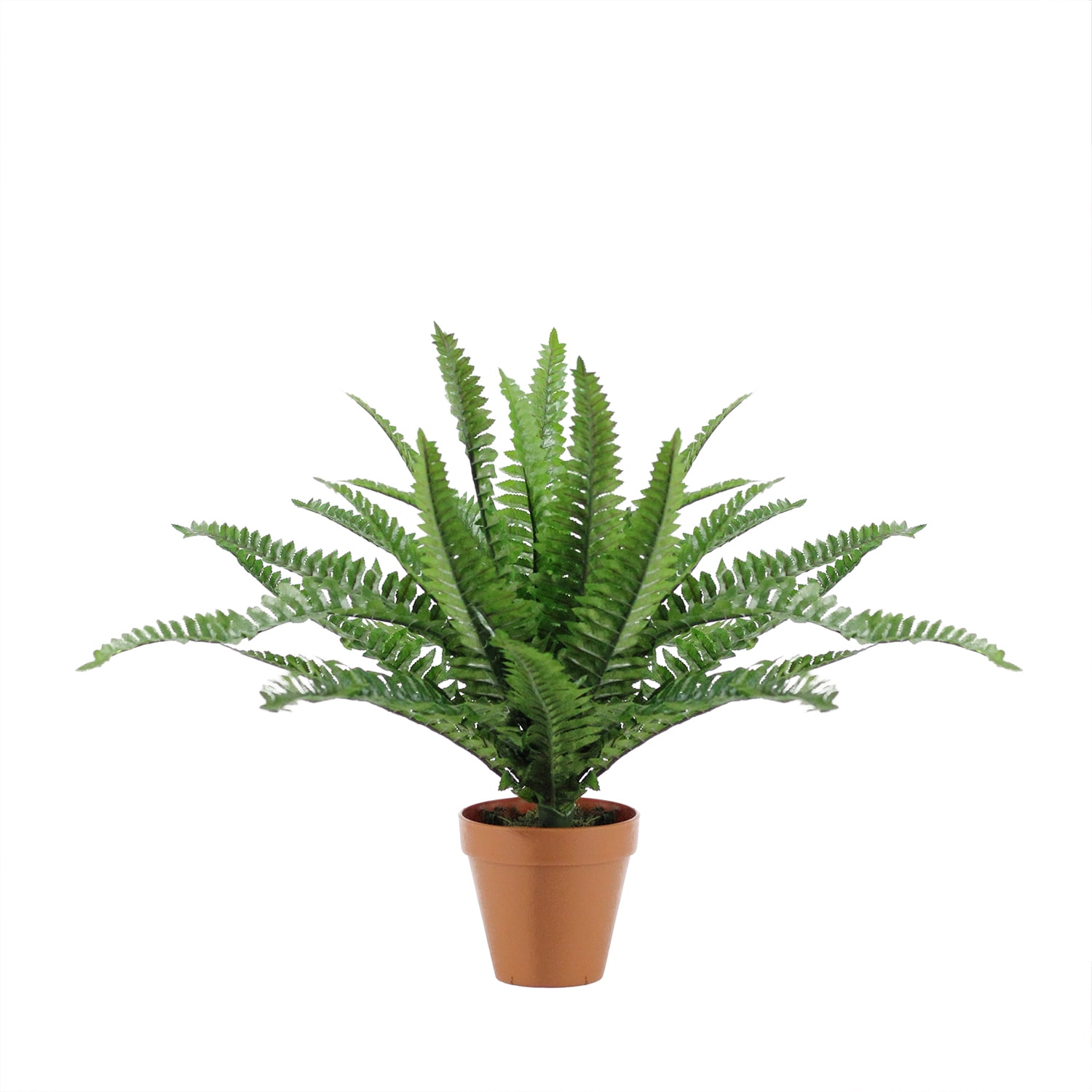 17.5" Green Plastic Potted Boston Fern Plant for Tabletop