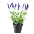 thumbnail image 1 of Northlight 18" Flowering Lavender Artificial Potted Plant - Green/Purple, 1 of 1