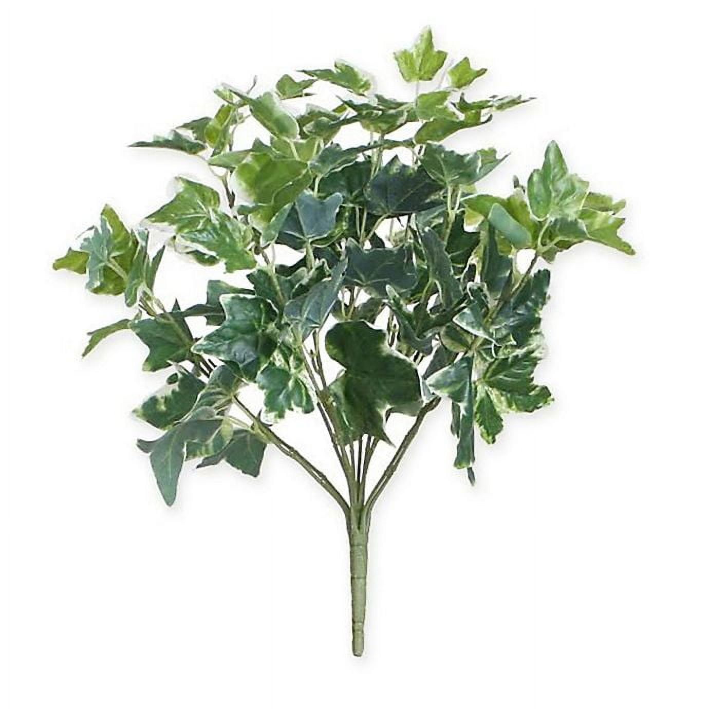 19" Green and White Two Toned Artificial Sweet Potato Spring Floral Bush