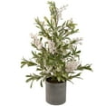 thumbnail image 1 of Northlight 2' Potted White Berry and Frosted Pine Christmas Tree, Unlit, 1 of 4