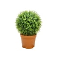 thumbnail image 1 of Northlight 20.5" Boxwood Ball Topiary Artificial Potted Plant - Green, 1 of 1